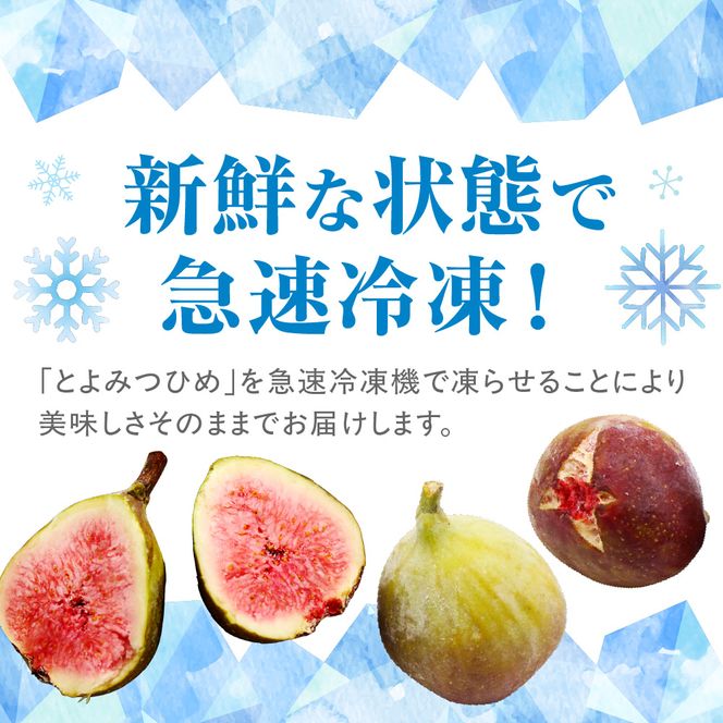 急速冷凍！福岡県特産品プレミアムいちじく「とよみつひめ」冷凍いちじく 大容量2kg【JAほたるの里】_HA0279
