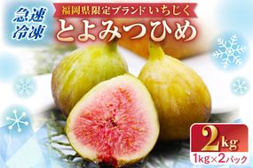 急速冷凍！福岡県特産品プレミアムいちじく「とよみつひめ」冷凍いちじく 大容量2kg【JAほたるの里】_HA0279
