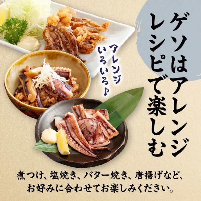 刺身用　新鮮ヤリイカ2尾セット(宗像鐘崎産)【マルケイ水産】_HA0416