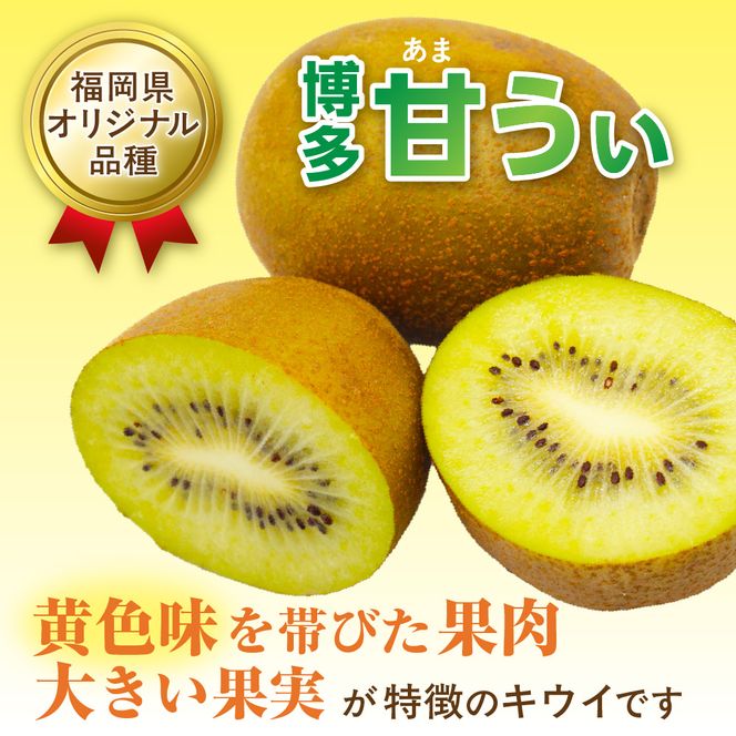 【2026年収穫分 先行受付!】福岡県ブランド!キウイフルーツ「博多甘うぃ」1箱約3.6kg【ほたるの里】_HA0434