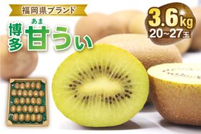 【2026年収穫分 先行受付!】福岡県ブランド!キウイフルーツ「博多甘うぃ」1箱約3.6kg【ほたるの里】_HA0434