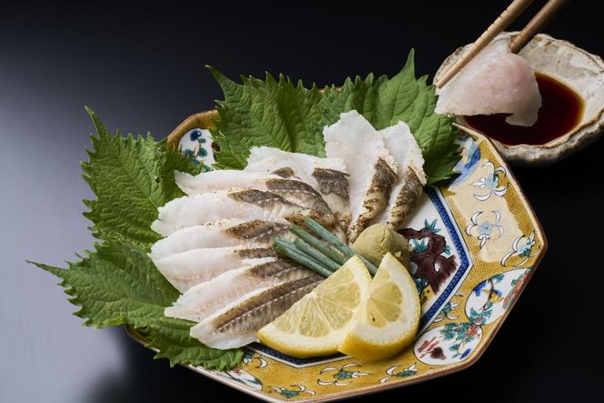 y@szVR Ȃ  thi@Yjy@z_HA0473