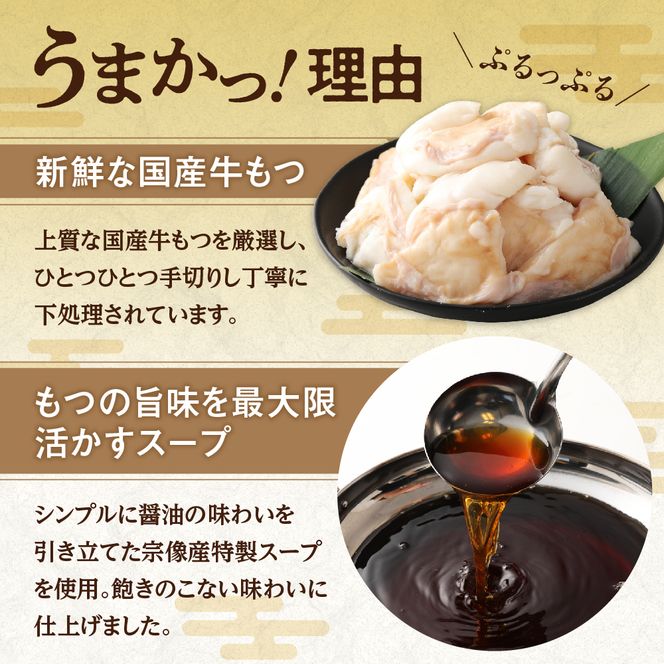 【ご家庭用】博多明太 もつ鍋 3人前 無着色辛子明太子 300g【海千】_HA0652