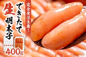 【完全受注生産！】できたて「生」明太子400g_HA0668