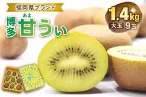 【2026年収穫分 先行予約!】〈ギフト〉キウイフルーツ「博多甘うぃ」約1.4kg化粧箱入り【ほたるの里】_HA0943