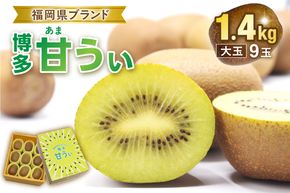 【2026年収穫分 先行予約!】〈ギフト〉キウイフルーツ「博多甘うぃ」約1.4kg化粧箱入り【ほたるの里】_HA0943