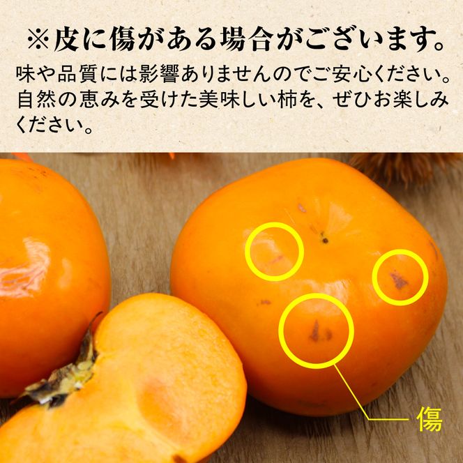 福岡県ブランド柿「秋王」化粧箱約1.75kg【JAほたるの里】_HA1318
