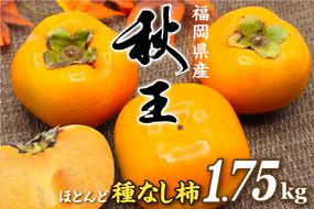 福岡県ブランド柿「秋王」化粧箱約1.75kg【JAほたるの里】_HA1318