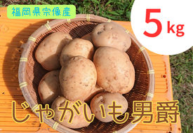 循環型有機肥料で育った男爵いも　5kg【アグリCATS】_HA1350