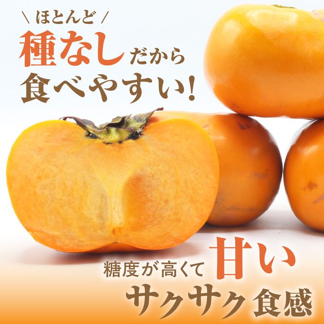【2026年収穫分 先行予約!】福岡県ブランド　高級柿【秋王】3.5kg【JAほたるの里】_HA1352