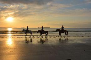 ビーチ乗馬体験チケット【カナディアンキャンプ乗馬クラブ】_HA1656