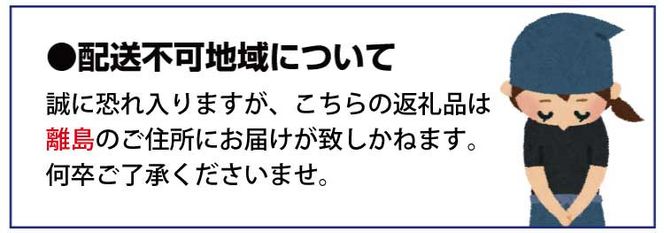 【先行予約受付　有田ミカン】紀州有田産　濃厚完熟温州みかん　3kg（ＭサイズまたはＳサイズ）※2024年11月下旬頃〜2025年1月下旬頃に順次発送予定(お届け日指定不可)