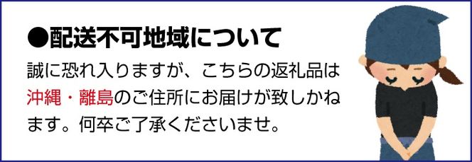 ご家庭用 きよみ 清見オレンジ 和歌山 有田 2S～3Lサイズ混合 3kg【2月中旬～3月下旬頃に順次発送】/ みかん フルーツ 果物 くだもの 蜜柑 柑橘【ktn011-c-3】