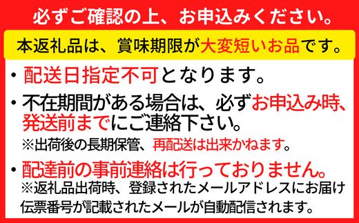 【釜茹で香住ガニ 2～3杯（1.6～1.8kg分）・カニホタル（170g×3パック）冷蔵】35000円 兵庫県 香美町 香住 今西食品 49-06