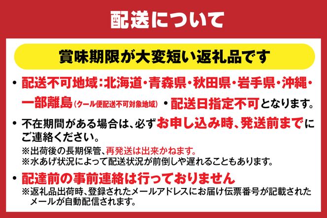 【先行予約】【兵庫県香住産 釜茹で香住ガニ（紅ズワイガニ）2～3匹 冷凍】令和7年9月中旬以降、カニの水揚げ次第順次発送予定 ふるさと納税 おすすめ 日本海 兵庫県 香美町 宿院商店 33-22