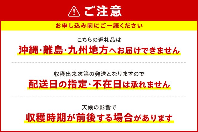 【先行予約：2025年7月25日以降発送】青果ブルーベリーおまかせ２品種食べ比べセット1Kg（500g×2パック）＜アイケイファーム余市＞_Y111-0004