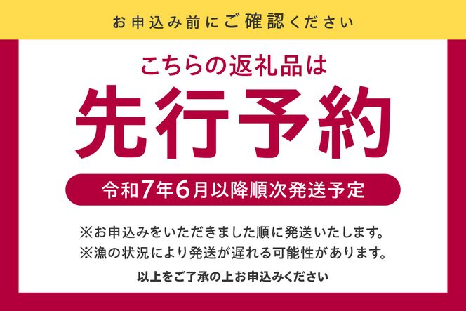 【先行予約】【刺身用白いかむき身　約350g 冷凍】令和7年6月以降順次発送予定 いか イカ 白いか 剣先イカ 刺身 新鮮 鮮度抜群 酒の肴 おつまみ 香美町 香住 宿院商店 22000円 33-32