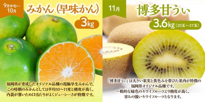 【定期便/年４回】旬の福岡フルーツ定期便【ほたるの里】_HB0087