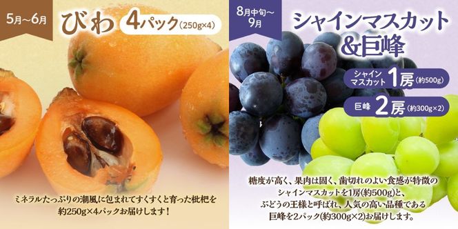 【定期便/年6回】むなかた旬のフルーツ6回定期便【ほたるの里】_HB0090