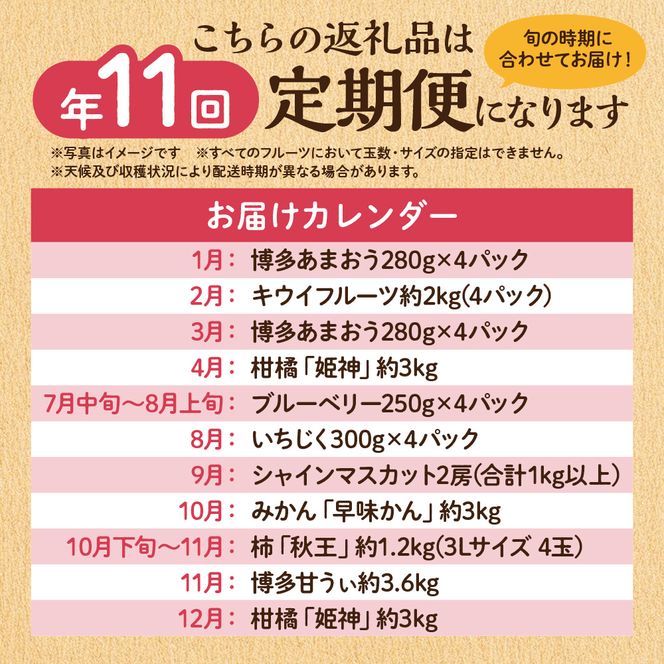 【定期便/年11回】JAむなかた厳選！旬のフルーツ定期便【JAほたるの里】_HB0171