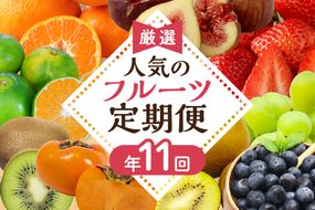 【定期便/年11回】JAむなかた厳選！旬のフルーツ定期便【JAほたるの里】_HB0171