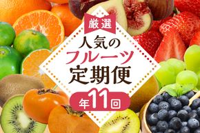 【定期便/年11回】JAむなかた厳選！旬のフルーツ定期便【JAほたるの里】_HB0171
