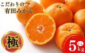 田村みかん並みの甘さ！ こだわりの和歌山県産 有田みかん 5kg（S～Lサイズおまかせ） ひとつひとつ手選別で厳選！生産者から直送 【2025年11月下旬～1月中旬ごろに順次発送予定】【hdm005】