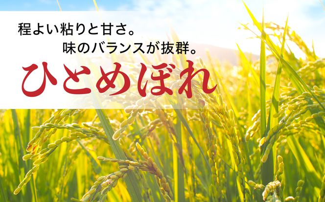 新米 無洗米 令和6年度産 宮城 ひとめぼれ 5kg  [菅原精米工業 宮城県 加美町 ]  | sw00003-r6-5kg