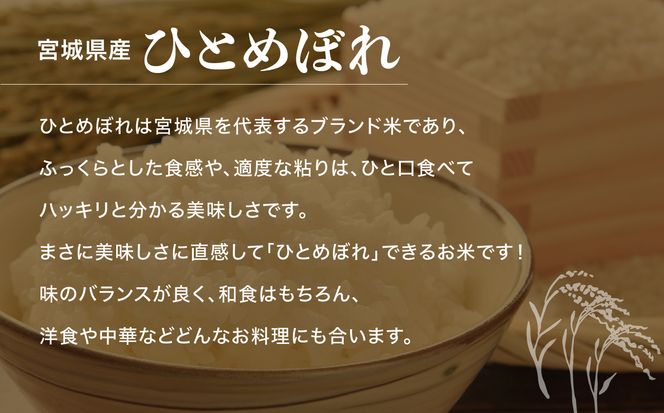 新米 無洗米 令和6年度産 宮城 ひとめぼれ 5kg  [菅原精米工業 宮城県 加美町 ]  | sw00003-r6-5kg