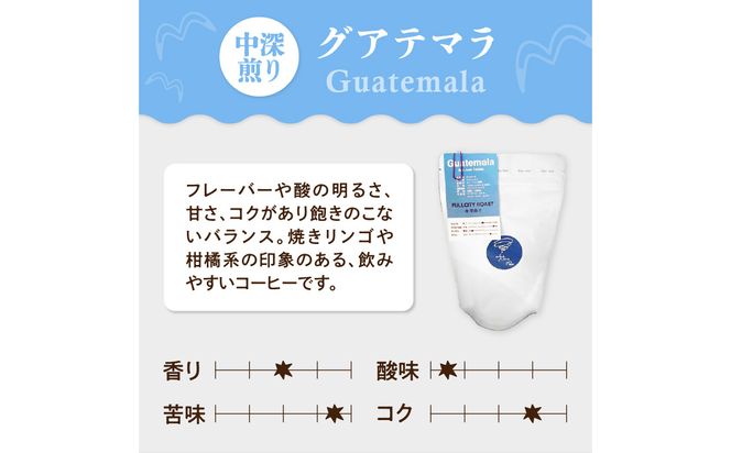【I04009】スペシャルティコーヒー コーヒー豆100g×3袋入り ギフトセット