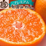 【先行予約】プレミアム有田みかん5kg+250g（傷み補償分）11月より発送(完熟)/ みかん ミカン 有田みかん 柑橘 フルーツ 果物 和歌山 オレンジ【ikd114C】 