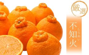 【先行予約】厳選不知火5kg+250g（傷み補償分）＜2月より発送＞/ みかん ミカン 有田みかん 柑橘 フルーツ 果物 和歌山 オレンジ【ikd162C】