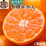 【先行予約】家庭用有田みかんサイズ混合(2S～2L)10kg+250g 11月より発送(完熟)/ みかん ミカン 有田みかん 柑橘 フルーツ 果物 和歌山 オレンジ【ikd175B】 