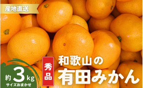 【12月発送】秀品 有田みかん 和歌山県産  S～Lサイズ 大きさお任せ 3kg / みかん フルーツ 果物 くだもの 有田みかん 蜜柑 柑橘【ktn001-12】