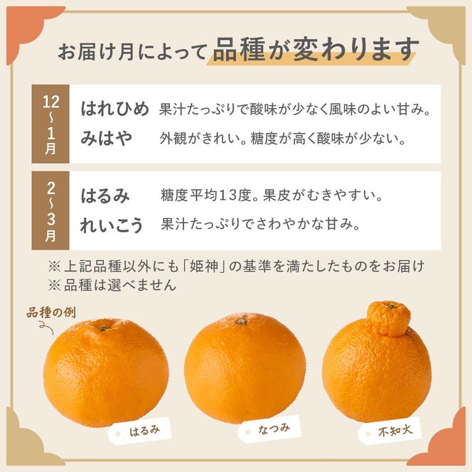最後の神農　美品 ハッピーイチゴランド🍓 | 【フォロワー様限定割引】 いつも当園