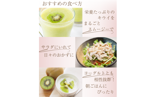 ＜2025年11月より発送＞厳選 キウイ2.5kg+250g（傷み補償分）【扁平果】【ikd704B】