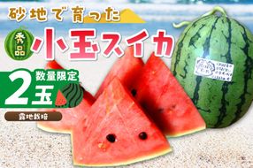 【先行予約／数量限定200】にしまるスイカ 秀品 2玉入り（露地栽培）（2026年7月中旬から発送）　FR00013