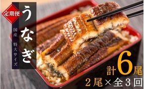 【3ヶ月定期便】大型サイズ ふっくら柔らか 国産うなぎ蒲焼き 2尾×3ヶ月連続でお届け 計6尾 約1020g ／ うなぎ ウナギ 鰻 国産 蒲焼 蒲焼き たれ 人気 定期便 ふるさと納税 ３か月 3ヶ月 3回 全3回【tkb309】