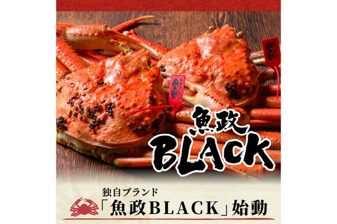 訳あり　【蟹の匠 魚政】茹で　プレミアムズワイガニ 魚政BLACK（松葉ガニ・越前ガニ） 特大サイズ（1200～1300g） 1匹 (2026年1月～発送)　UO01317