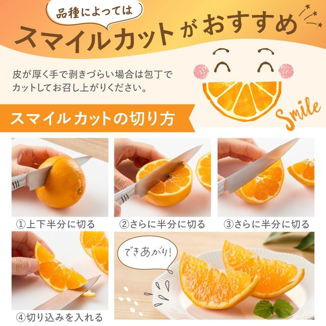 旬のミカンをお届け！JAむなかた柑橘ブランド「姫神」3kg 甘くて