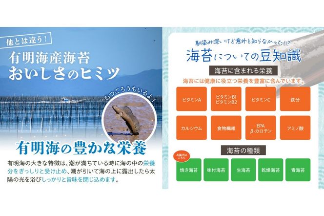 【A3-073】有明海産 焼き海苔 ボトル 10切100枚×4本 合計400枚