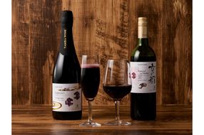 【丹波ワイン】京都ワイン（赤）サペラヴィ＆メルロー2022（720ml）・スパークリング (750ml） 2本セット　NZ00016