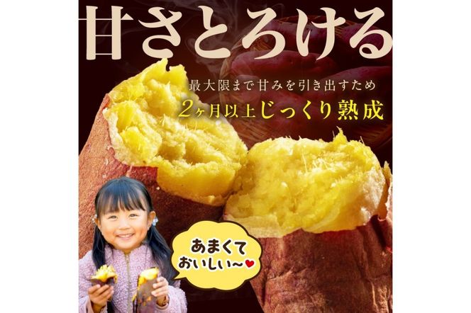 さつまいもオブザイヤー紅はるか部門全国1位のさつまいも農家がつくるサツマイモ3種食べ比べセット（紅はるか・金時・ふくむらさき）計約5kg　TF00059