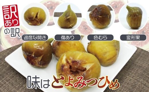 訳あり冷凍いちじく（とよみつひめ」）2kg【JAほたるの里】_HA1659