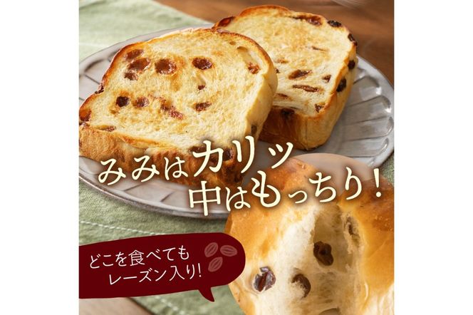 京都のパン屋★ 京都丹後 パンドミレーズン 3斤（5枚切り15枚）　BT00020