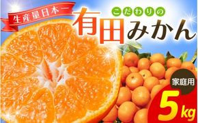 【2024年12月発送予約分】【家庭用】こだわりの有田みかん 約5kg＋250g(傷み補償分) ※サイズ混合 有機質肥料100% ※北海道・沖縄・離島配送不可  ＼光センサー選別 ! ／ 【農家直送】