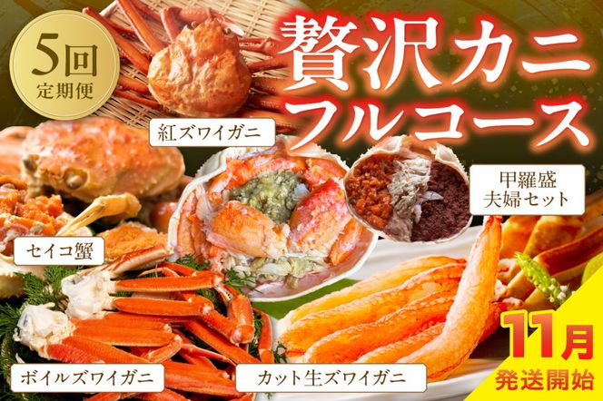 ys{Oszy5^11`zX匵IIґJjtR[XiZCRI3tEJbgYCKj4E{CYCKj4ExjYCI2tEbvwZbgj@YK00239