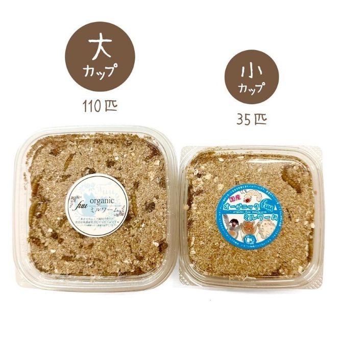 fuu オーガニックfuuミルワーム（小）［145S22］