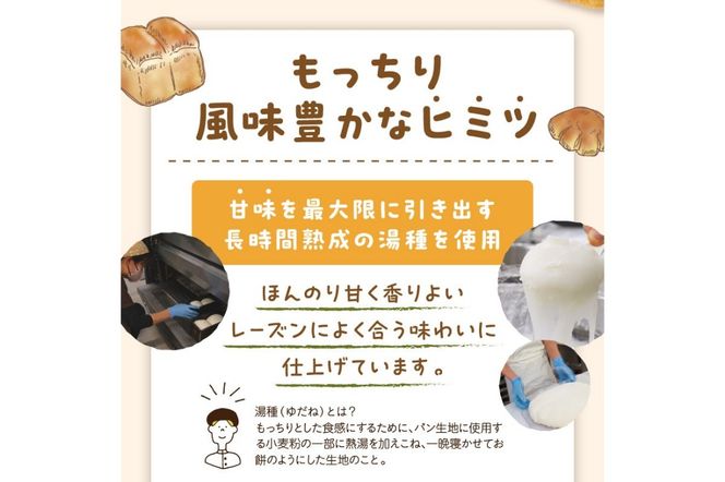 京都のパン屋★ 京都丹後 パンドミレーズン 3斤（4枚切り12枚）　BT00019