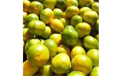 【2026年秋頃発送予約分】【訳あり】こだわりの極早生みかん 約10kg ※2026年10月上旬より順次発送予定（お届け日指定不可） 有機質肥料100% サイズ混合 有田産【nuk167B】